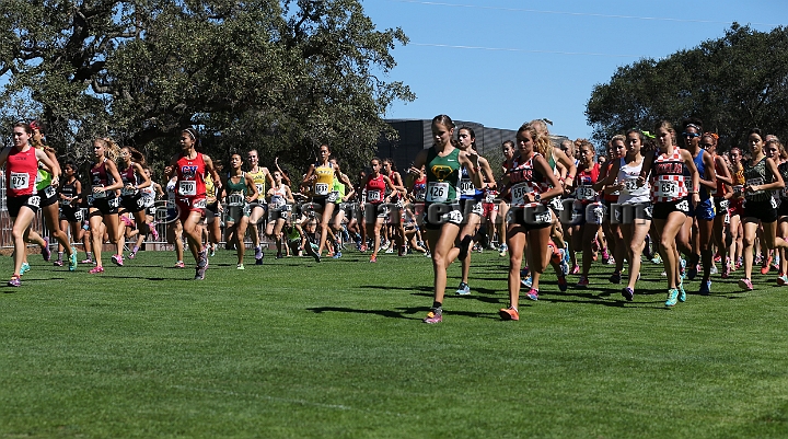2015SIxcHSD2-109.JPG - 2015 Stanford Cross Country Invitational, September 26, Stanford Golf Course, Stanford, California.
